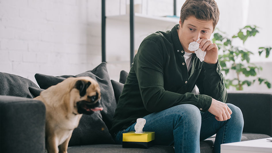 Purchasing an air purifier is one of the top approaches to enhance your home’s indoor air quality. Find out more about the three smartest products. 